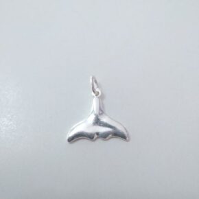 Dije plata macizo