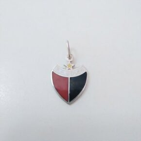 Dije plata 925 macizo