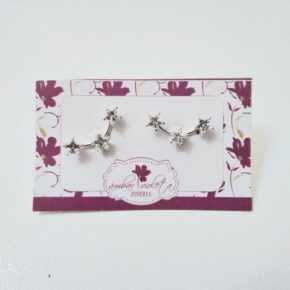 Aros de plata