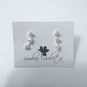 Aros de plata