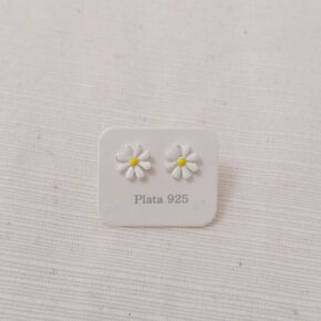 Aros de plata