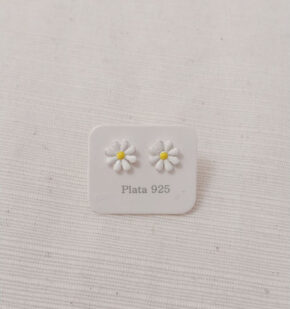 Aros de plata