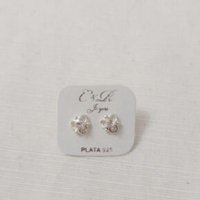 Aros de plata