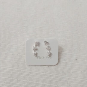 Aros de plata
