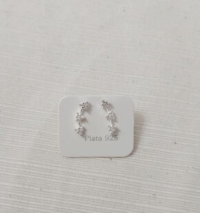 Aros de plata